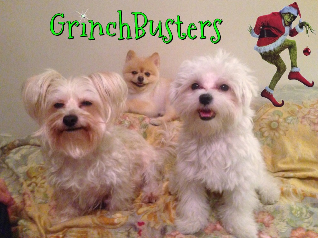 GrinchBusters11