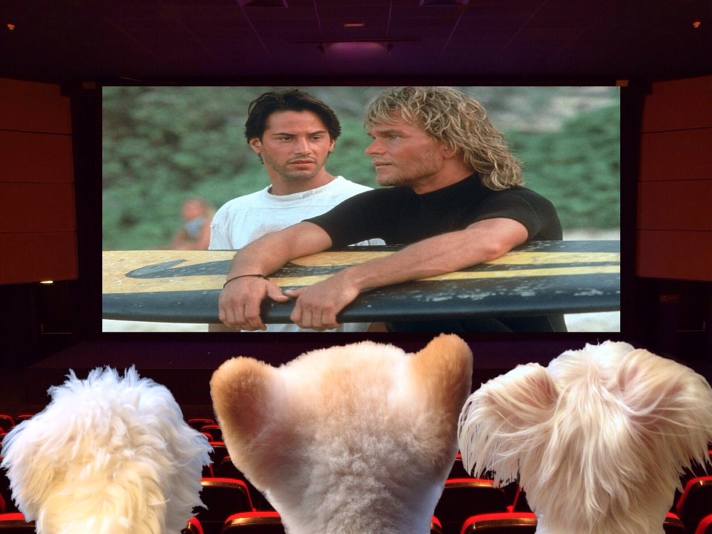 The Movie Rewrite for "Point Break"