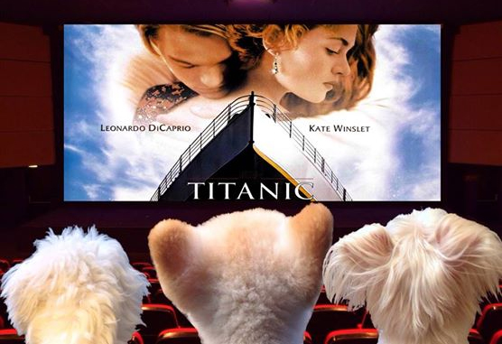 The movie rewrite for The Titanic