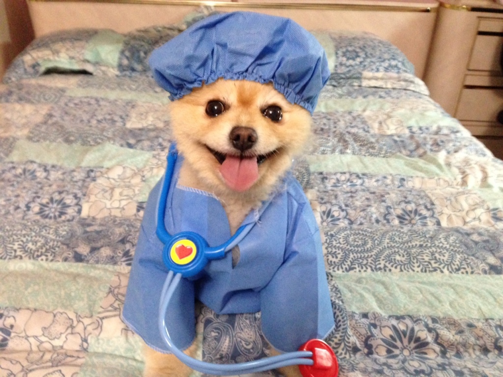 Dr. Harp Seal message; " When did these schools get so small?"