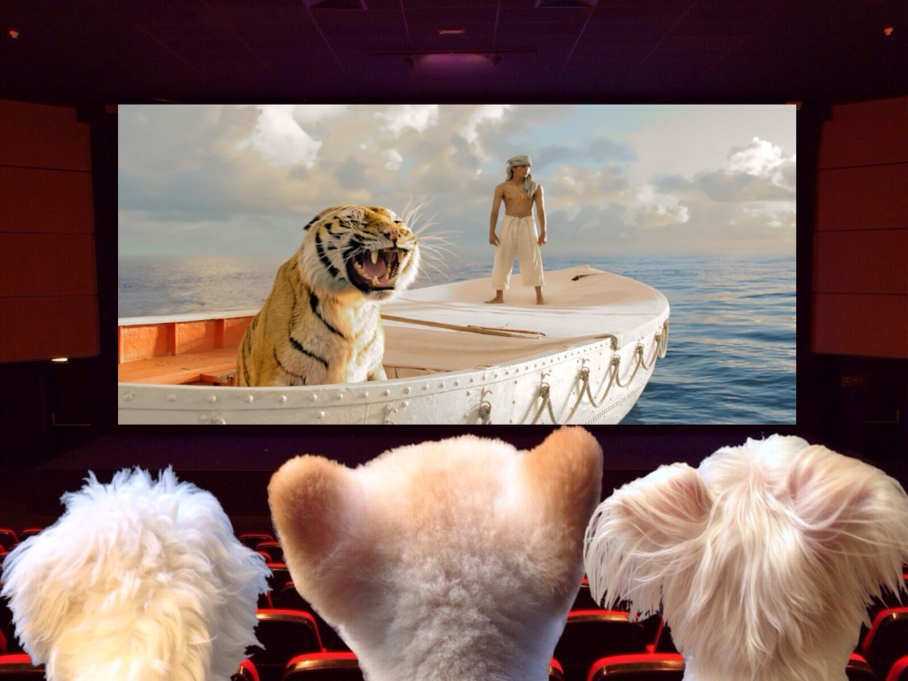 The movie rewrite for "The Life of Pi"