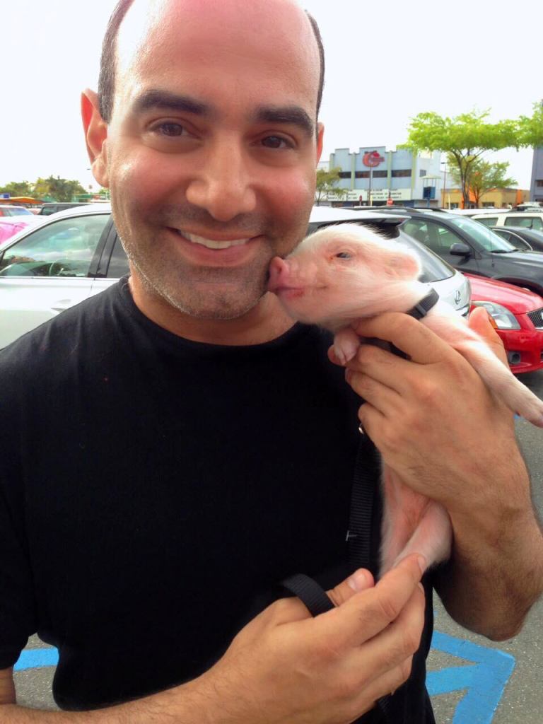 Piggy and Me 