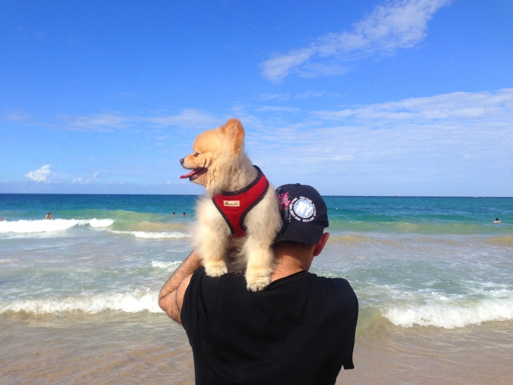 Taking in the Beach 