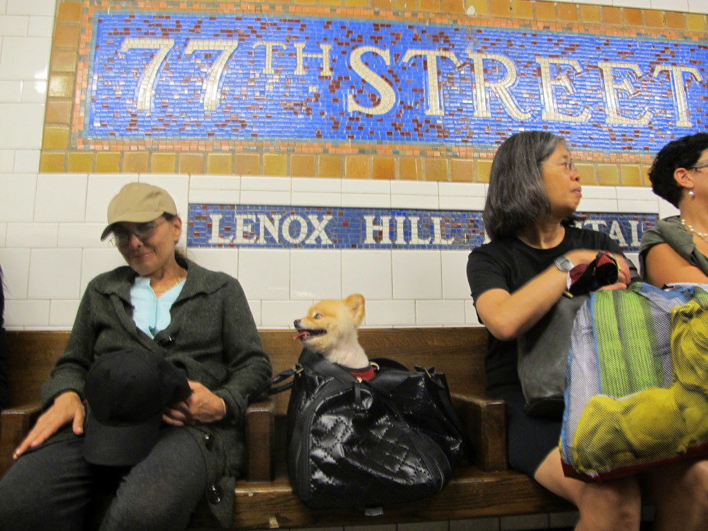 Grandma Jo-Ann and Sammy waiting for the subway