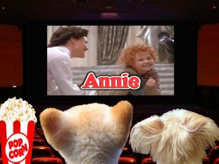 The movie Rewrite for Annie