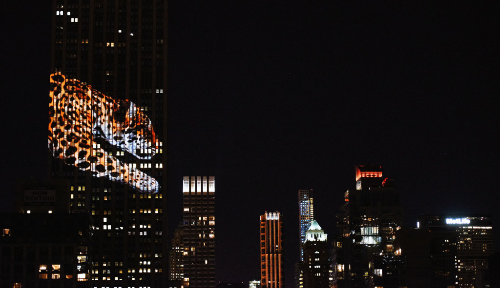 Projecting Change: The Empire State Building