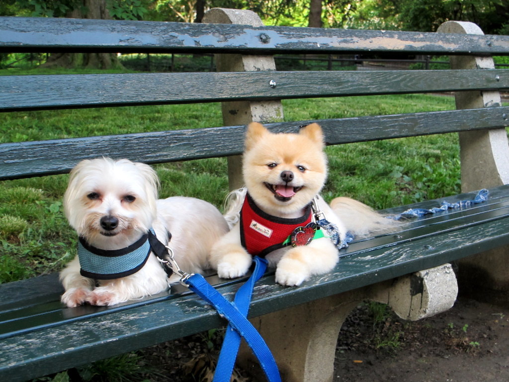 Two Chaps doing some people watching 