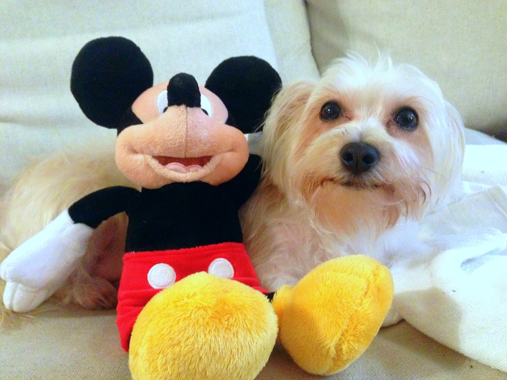Henry and Mickey wanted to say good morning 