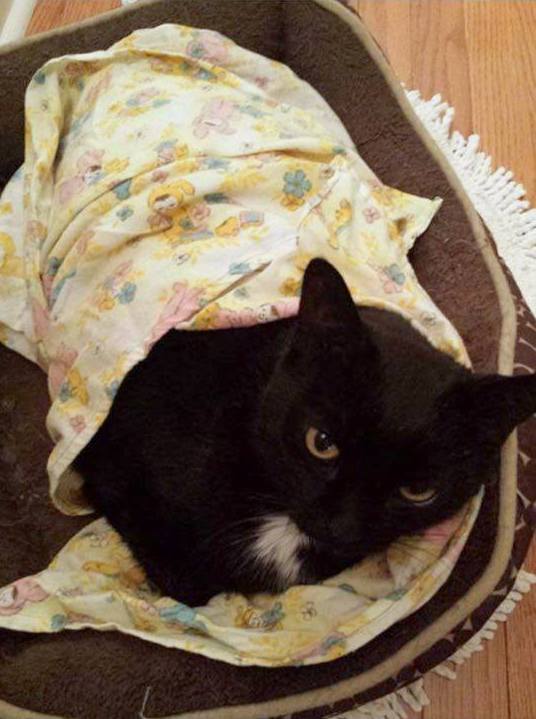 Tonight we say goodbye to Patches