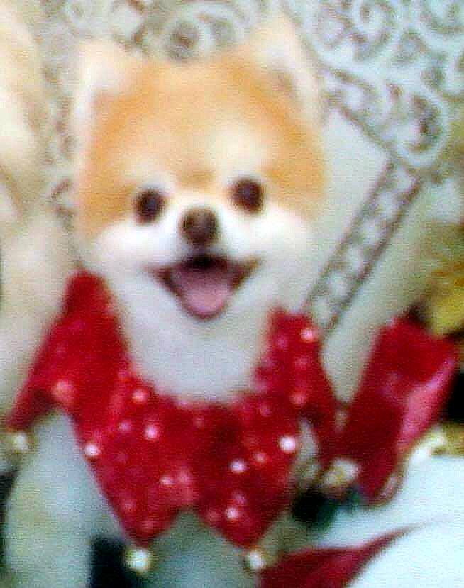 Tribute for Gracie Mae