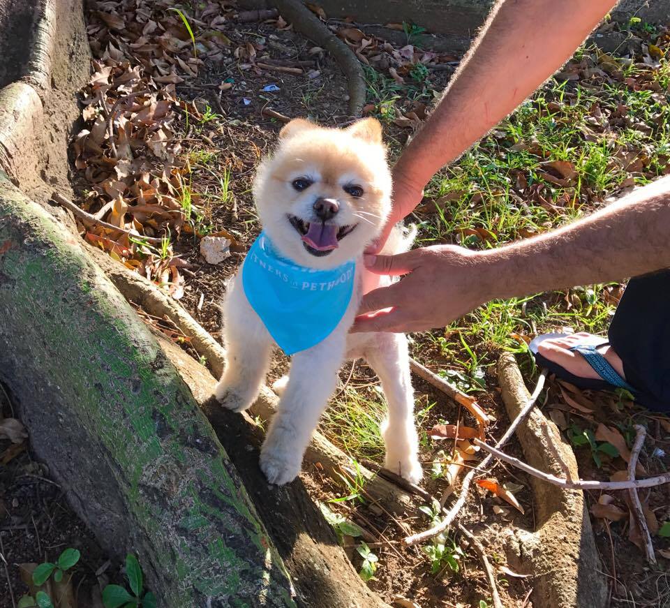 Nature with my boy