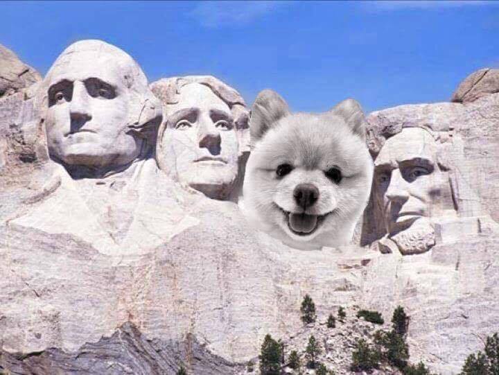President's Day