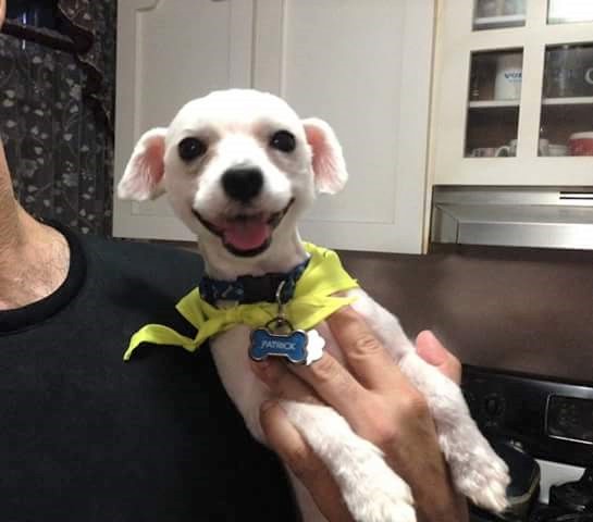 Poppy Rocky Lucky Tuesday on August 29th, 2017